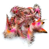 Black Barred Groovy Bunny Strips - Pink / Orange / White