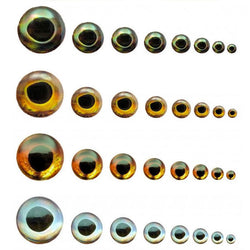 Fish Skull Living Eyes - Adhesive 3D Holographic Eyes