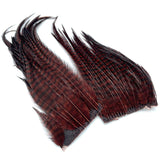 Hareline Woolly Bugger Hackle Patches - Grizzly Brown