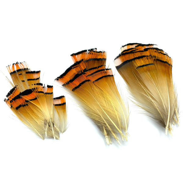 Golden Feathers