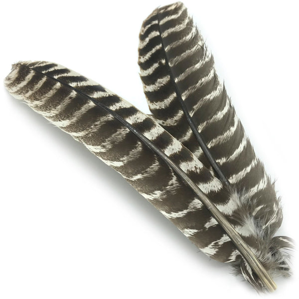 Hareline Ozark Oak Mottled Turkey Quills