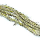 Micro Cut Black Barred Groovy Bunny Strips - Yellow / Olive / White