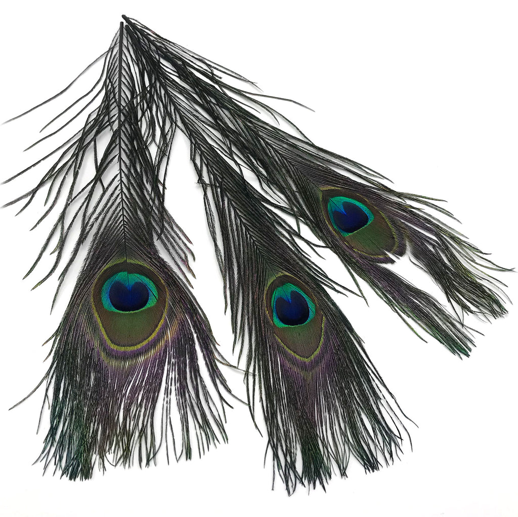 Peacock Eyed Sticks – Fly Artist
