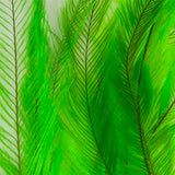 UV2 Emu Feathers - Insect Green