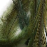 UV2 Emu Feathers - Olive